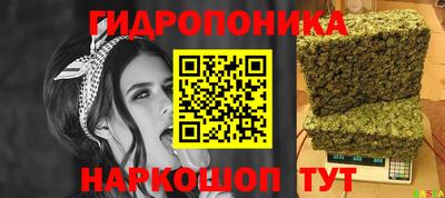 мдпв Дмитров
